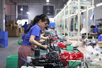 藏在魚缸里的&ldquo;藍海&rdquo;:拼多多&ldquo;千億扶持&rdquo;加速激活西部水族大市場